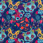 Sugar Cats