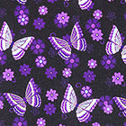 Black Butterfly