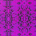 Purple Snakeskin