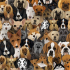 Dog Party