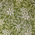 Olive Tropical