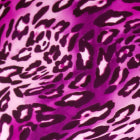 Purple Panther