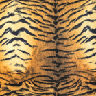 Rustic Tiger
