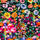 Flower Meadow