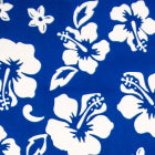 Blue Hibiscus